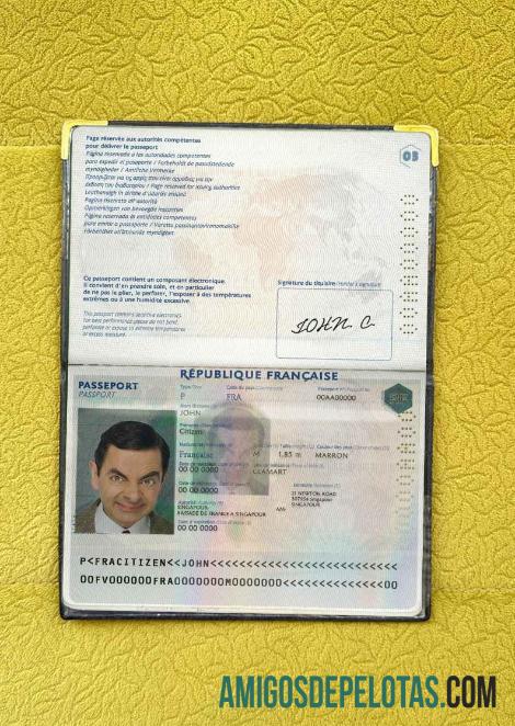 Visual de foto do passaporte francês exemplo real